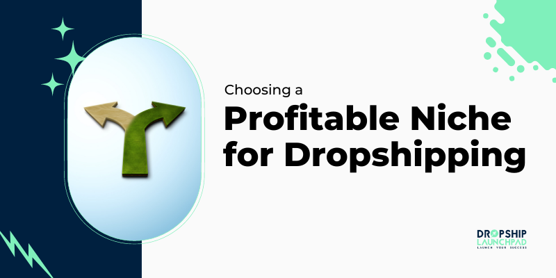 Choosing a Profitable Niche for Dropshipping