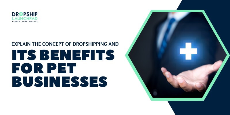 concept of dropshipping and its benefits for pet businesses