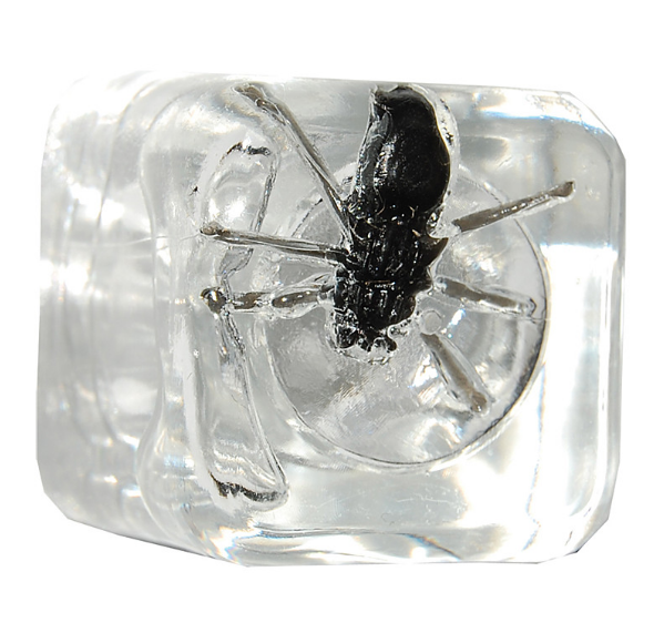 Best Prank Toys for Dropshipping 1: Bug in Ice Cube