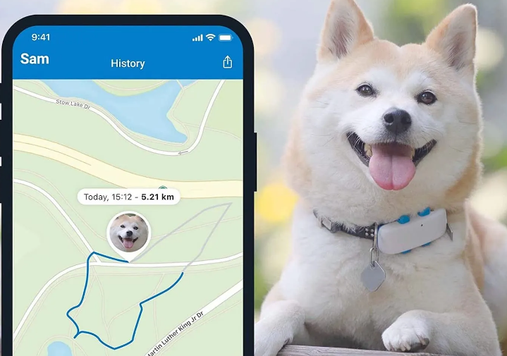 Best Pet Dropshipping Products 8: GPS Pet Trackers