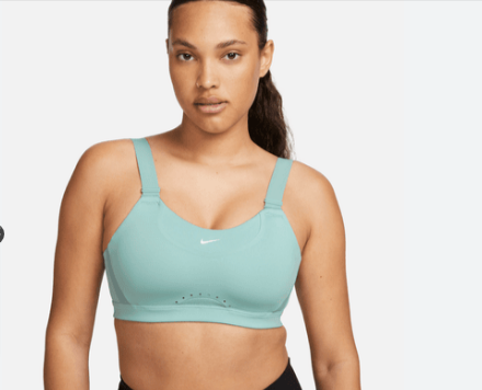 Best Sports Bra Dropshipping Products: Nike Alpha Support Bra