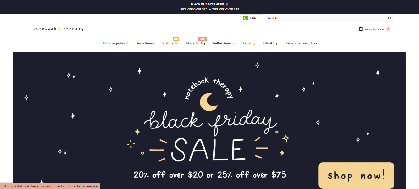 10 Best Shopify Dropshipping Store Designs