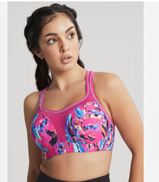 Best Sports Bra Dropshipping Products: Panache Sports Bra