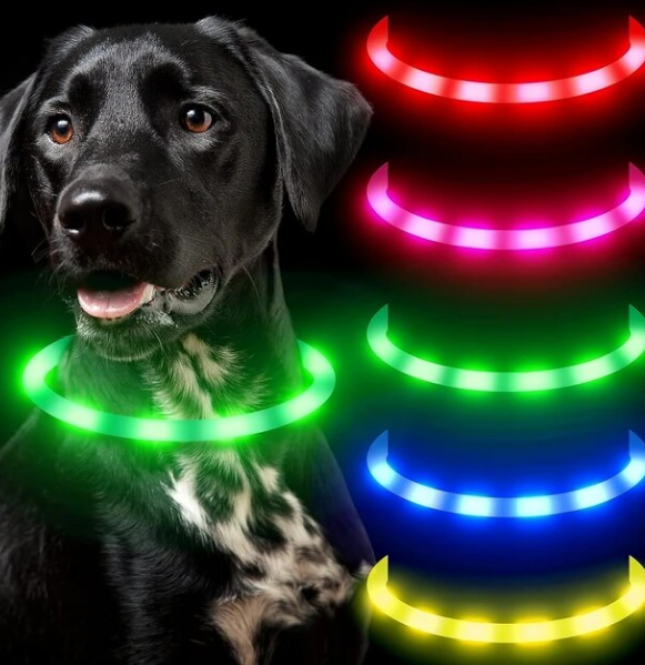 Best Pet Dropshipping Products 5: USB LED Collars