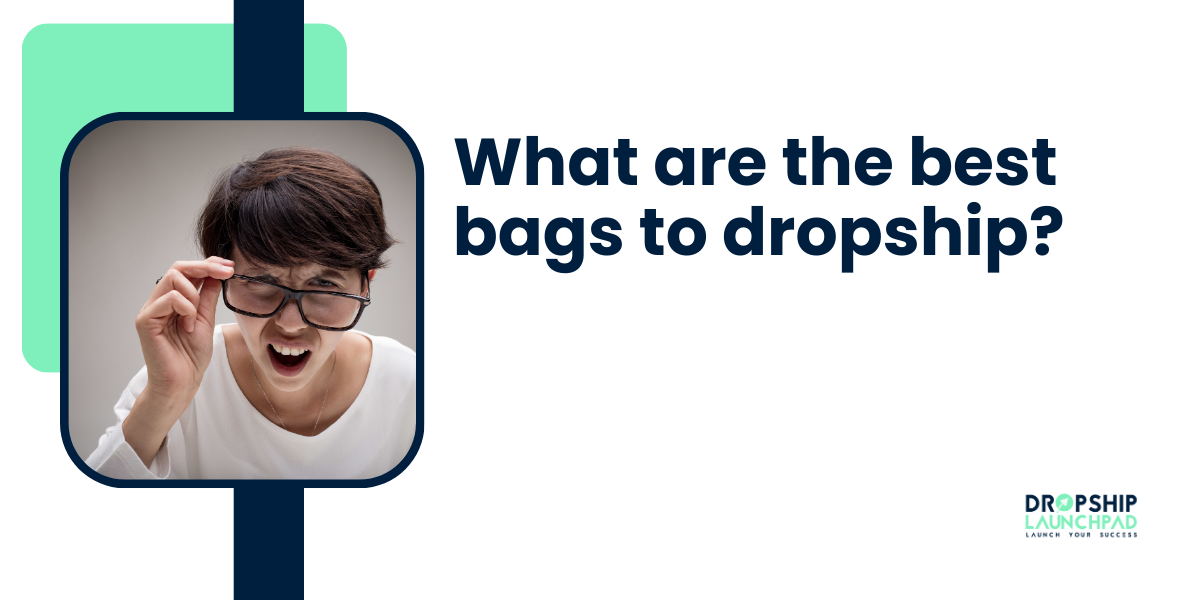 What are the best bags to dropship?