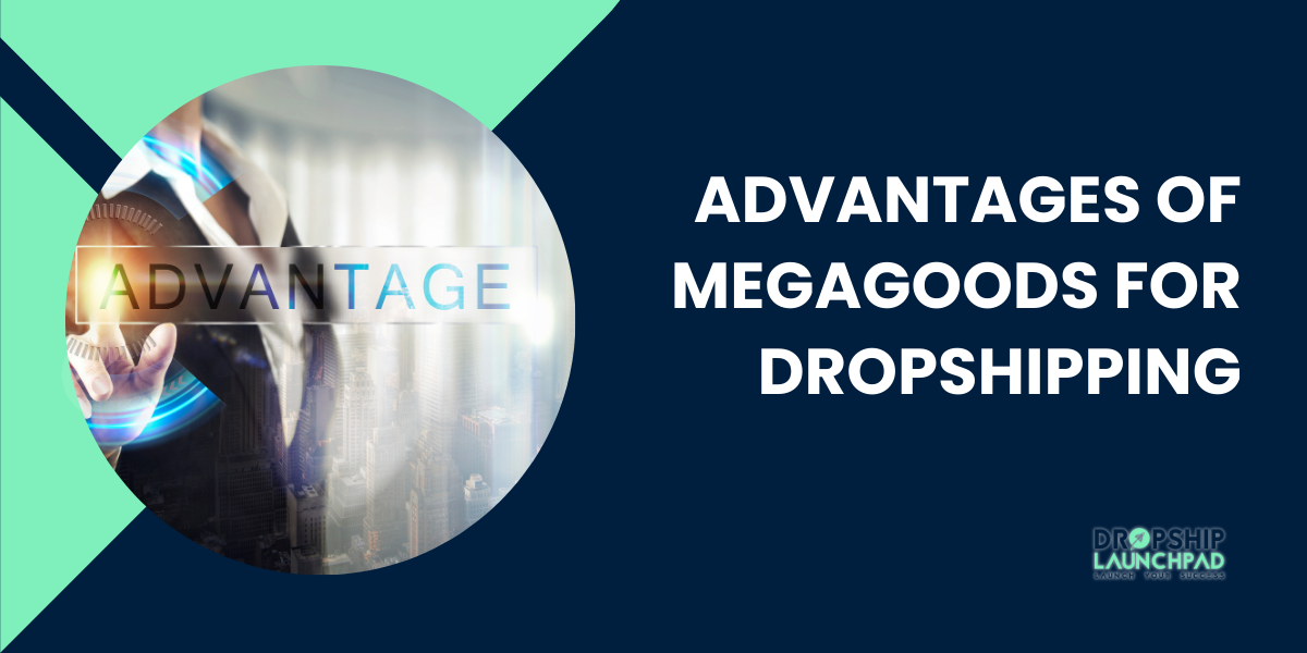 Advantages of Megagoods for Dropshipping