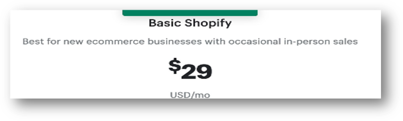 Basic Shopify dropshipping Plan 