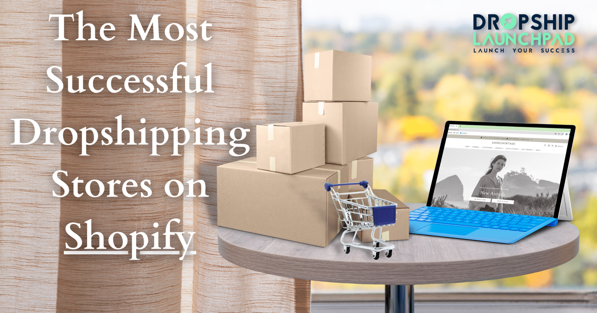 The Most Successful Dropshipping Stores on Shopify