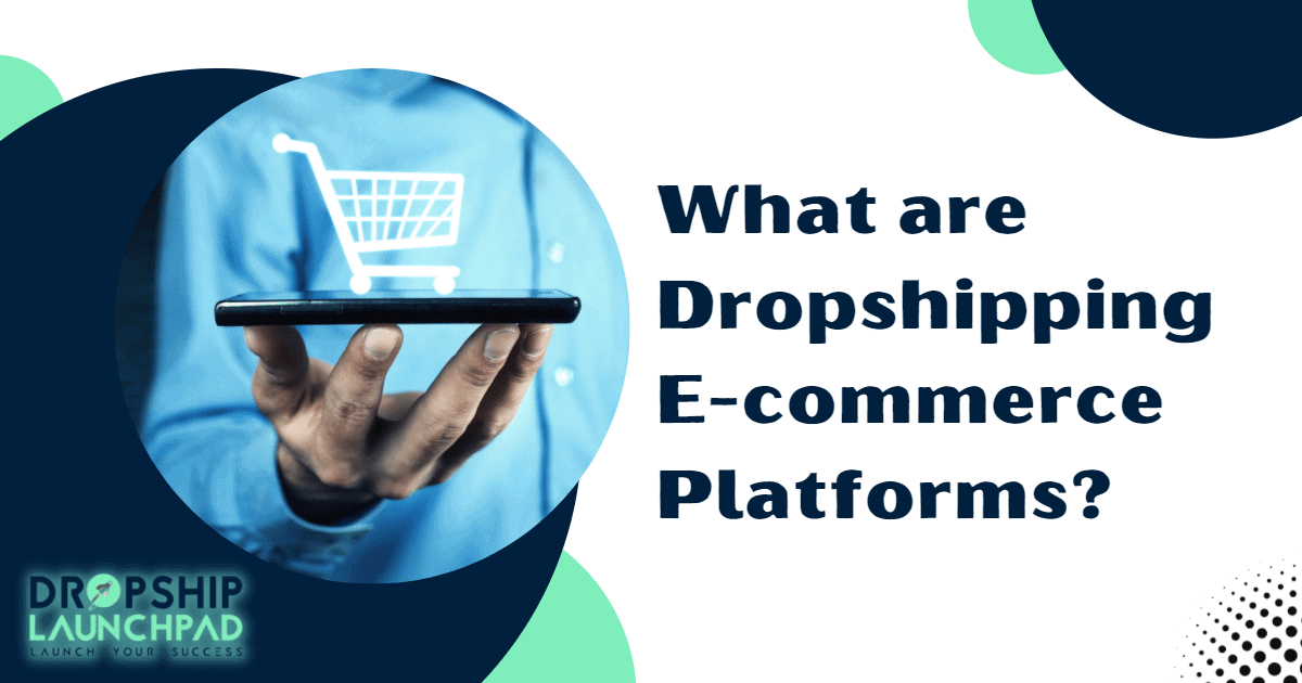 What are Dropshipping Ecommerce Platforms?