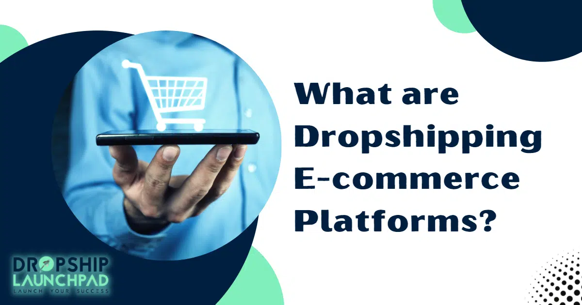 What are Dropshipping Ecommerce Platforms?