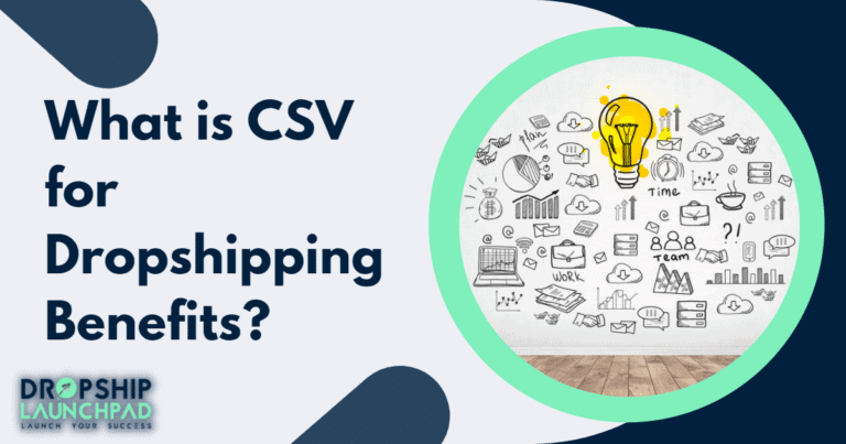 CSV for dropshipping: What does it entail? Is it worth it?