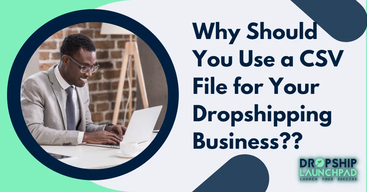 Why should you use a CSV file for your dropshipping business?