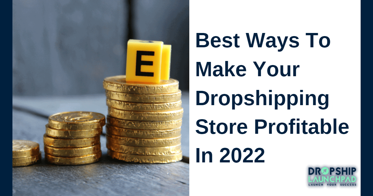 Best ways to make your dropshipping store profitable in 2022