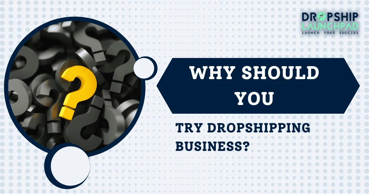 Why should you try dropshipping business?