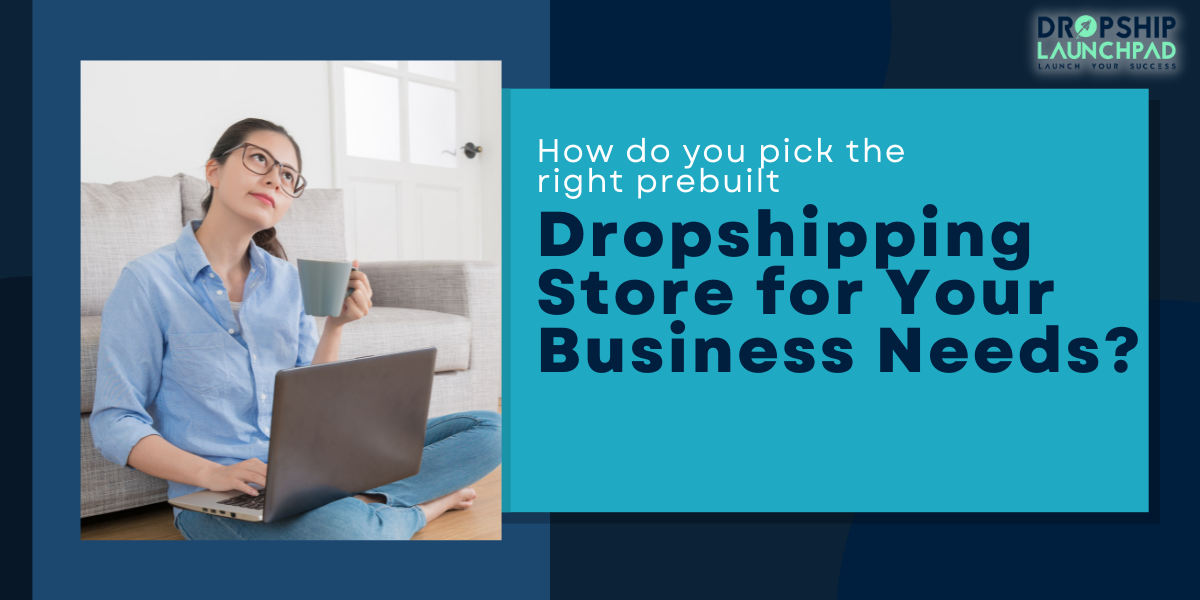 How do you pick the right prebuilt dropshipping store for your business needs?