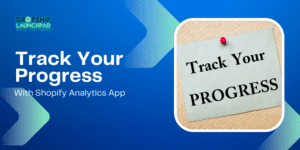 Track Your Progress With Shopify Analytics App