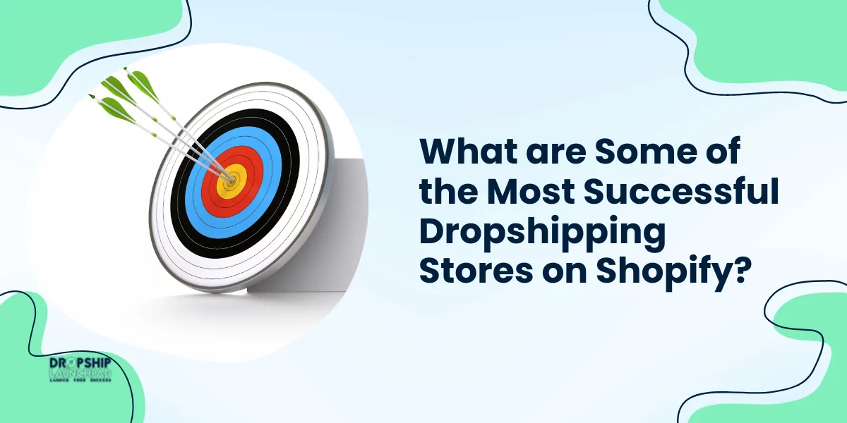 What are some of the most successful dropshipping stores on Shopify?